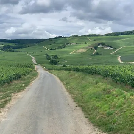 아파트 Hyper Centre Maison Le Petit Bouchon