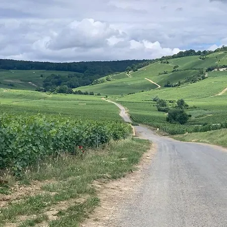 Hyper Centre Maison Le Petit Bouchon Ay-Champagne