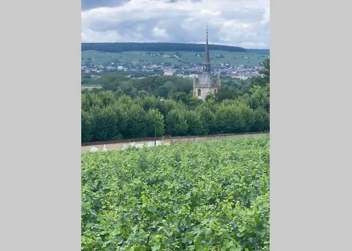 Hyper Centre Maison Le Petit Bouchon Ay-Champagne