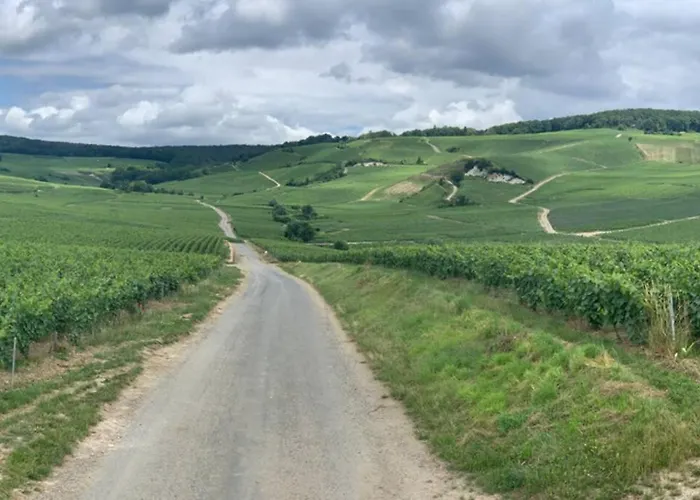 Διαμέρισμα Hyper Centre Maison Le Petit Bouchon