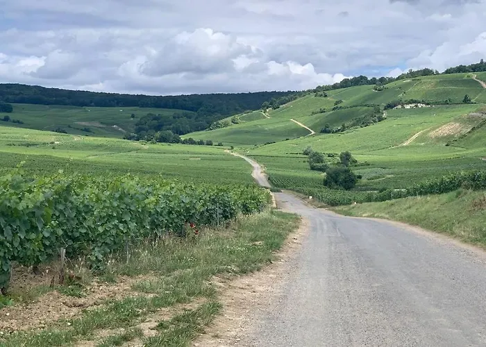 Hyper Centre Maison Le Petit Bouchon 雅香槟